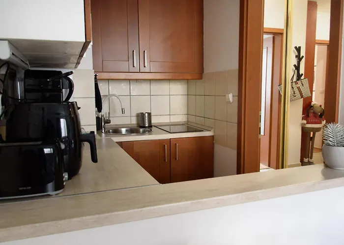 Peony Kaldy Free Garage Under The House بودابست